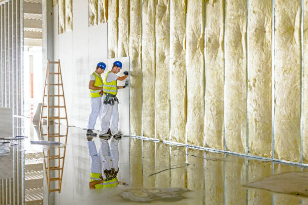 Best Commercial Insulation in East Bethel, MN